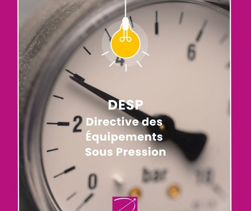 🎯 DECADI Services est habilitée DESP – et c’est essentiel pour vos projets !